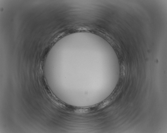 X0000085240422200703090927