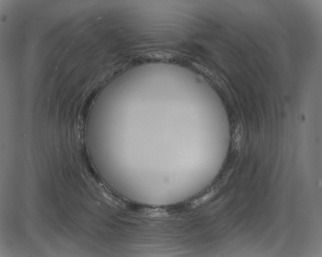 X0000085240424200703090927