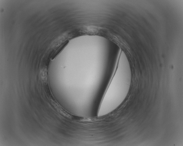 X0000085240425200703090927