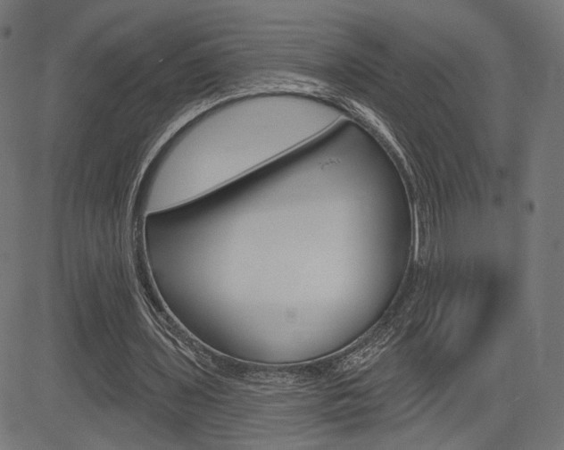 X0000085240435200703090926