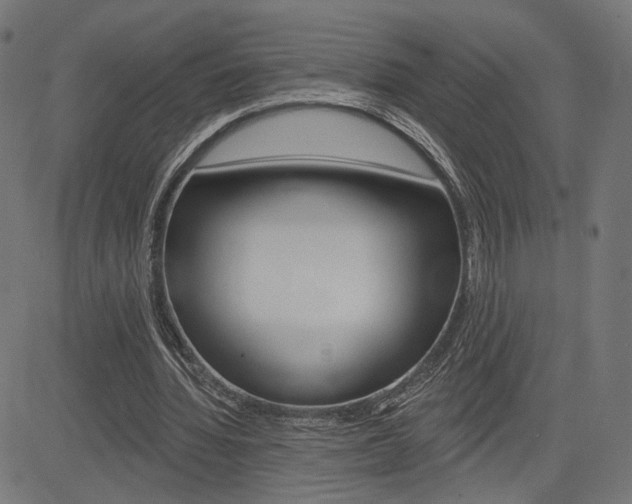 X0000085240436200703090926