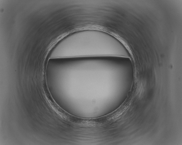 X0000085240437200703090926