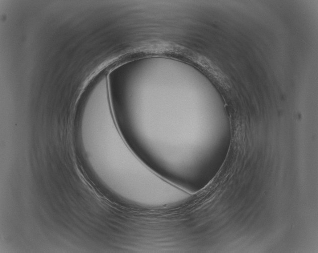 X0000085240440200703090926