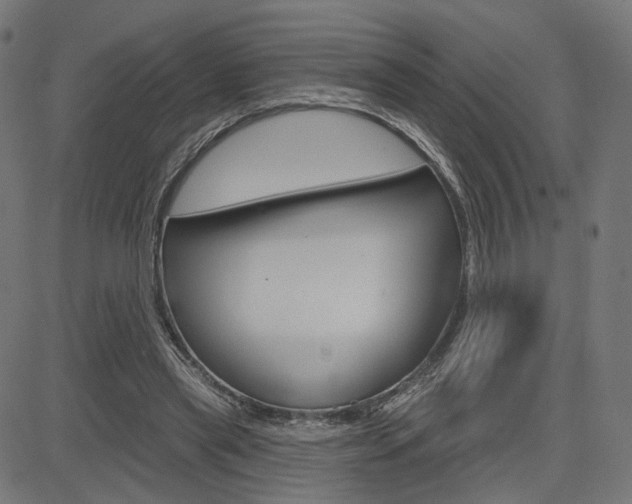 X0000085240445200703090926
