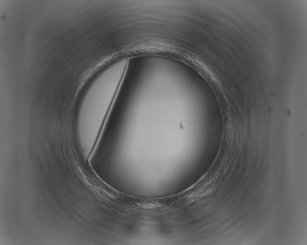 X0000085240446200703090926