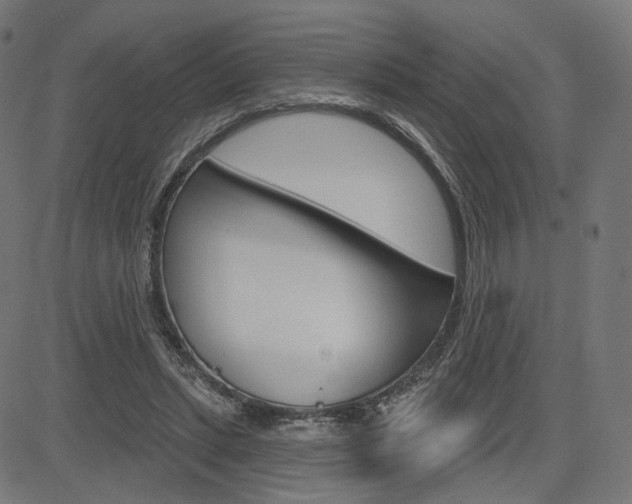 X0000085240447200703090926