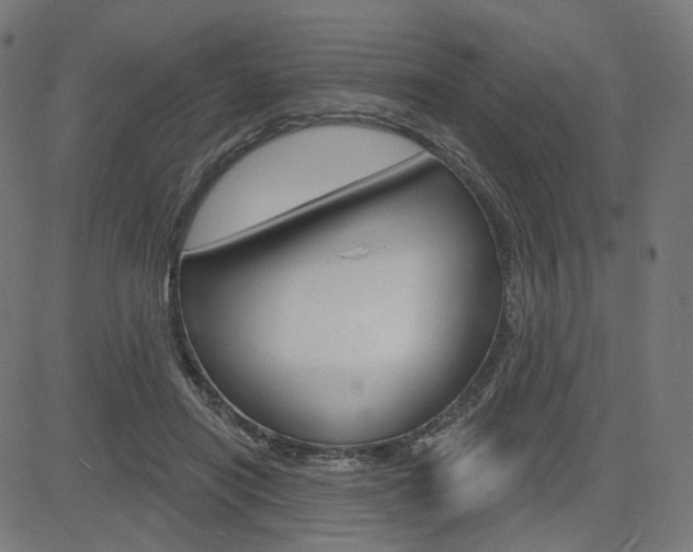 X0000085240454200703090926