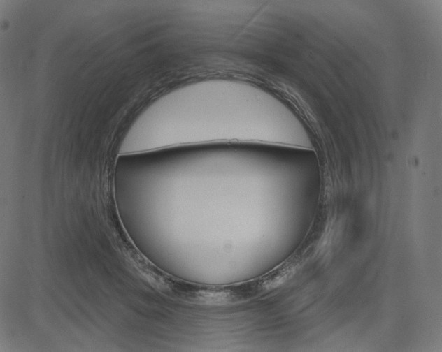 X0000085240457200703090926
