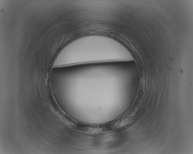 X0000085240458200703090926
