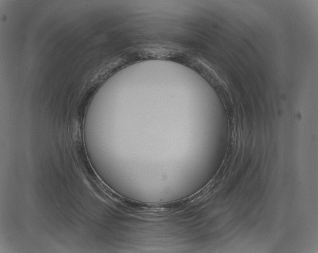 X0000085240459200703090926