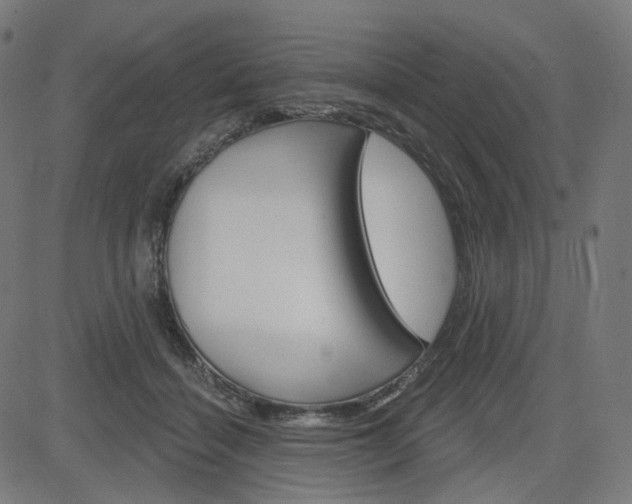 X0000085240460200703090926
