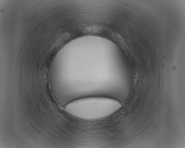 X0000085240464200703090926