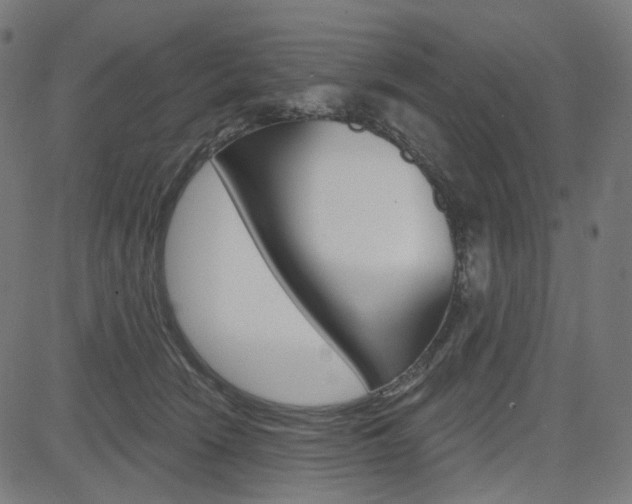 X0000085240466200703090926