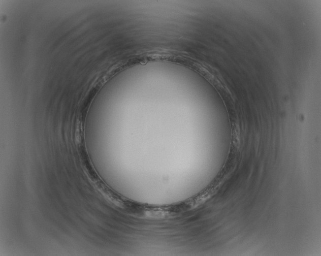 X0000085240470200703090927