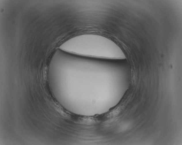 X0000085240475200703090927