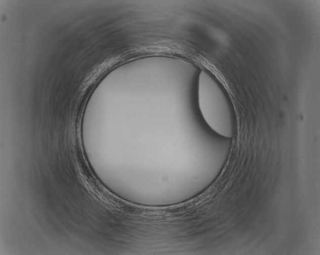 X0000085240482200703090926