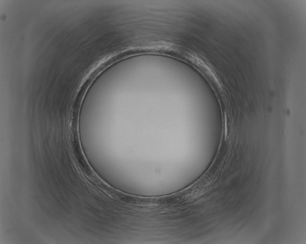 X0000085240483200703090926