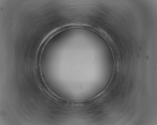 X0000085240484200703090926