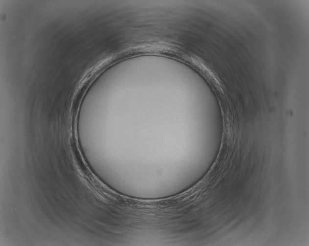 X0000085240486200703090926