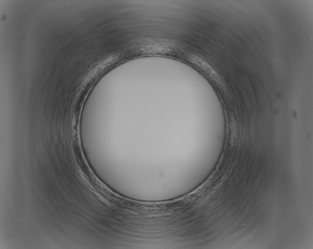 X0000085240490200703090926