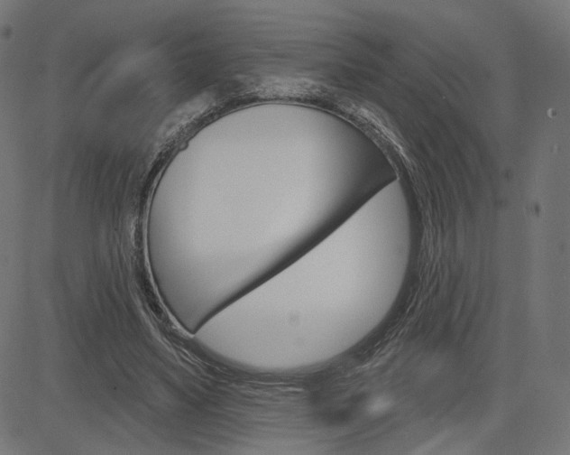 X0000085240491200703090926