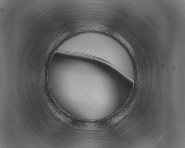 X0000085240493200703090926