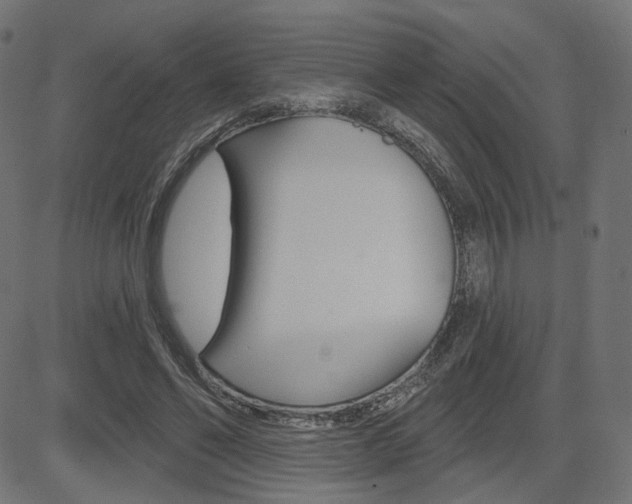 X0000085240494200703090926