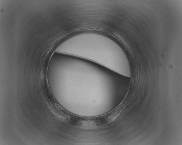 X0000085240500200703090926