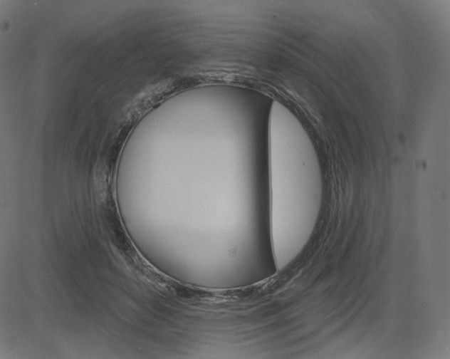 X0000085240504200703090925