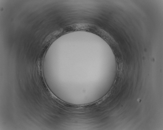 X0000085240506200703090925