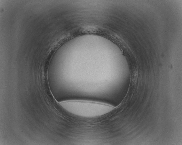 X0000085240508200703090925