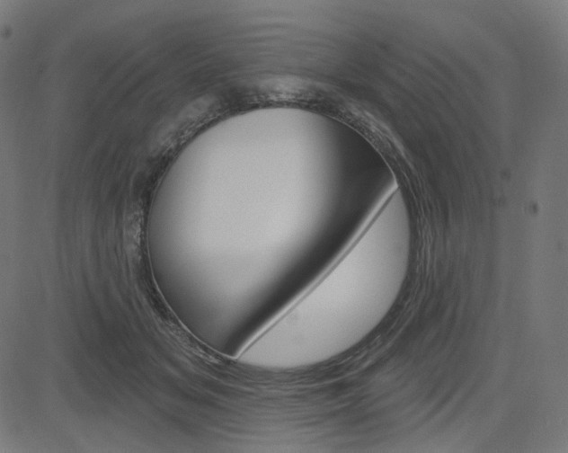 X0000085240509200703090925