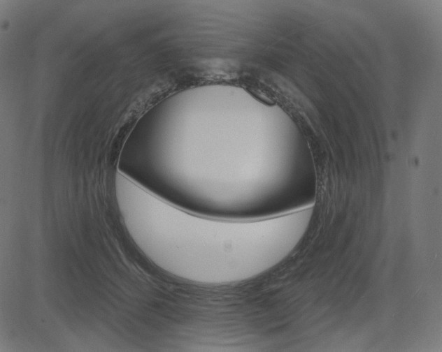 X0000085240512200703090925