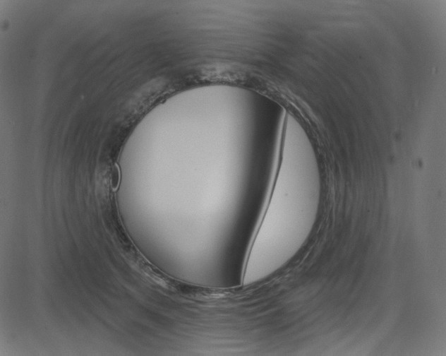 X0000085240513200703090925