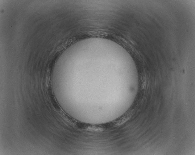 X0000085240515200703090925