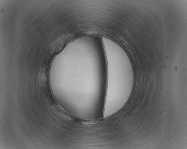 X0000085240516200703090925