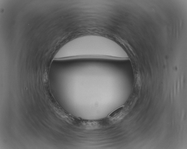X0000085240517200703090925