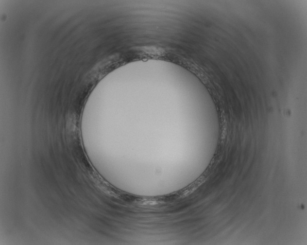 X0000085240518200703090925