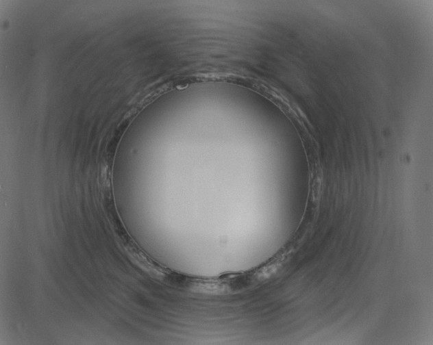 X0000085240521200703090925