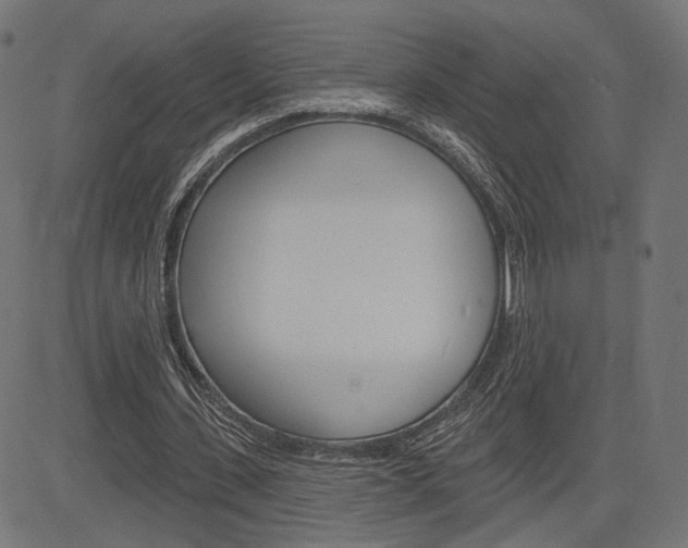 X0000085240531200703090924