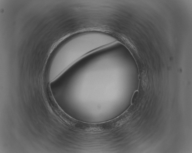 X0000085240536200703090924