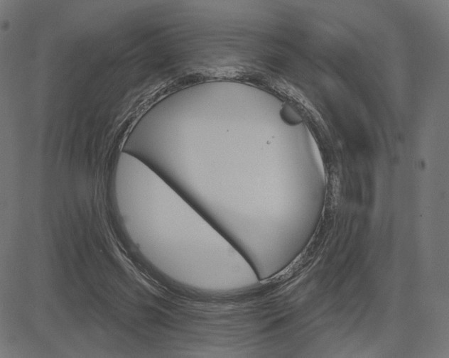 X0000085240541200703090924