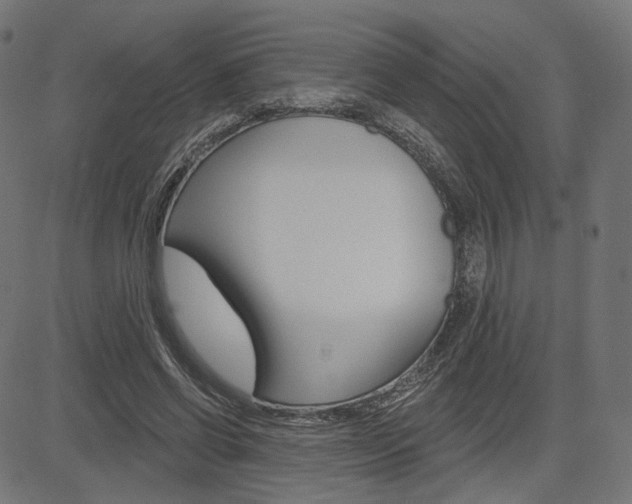 X0000085240542200703090925