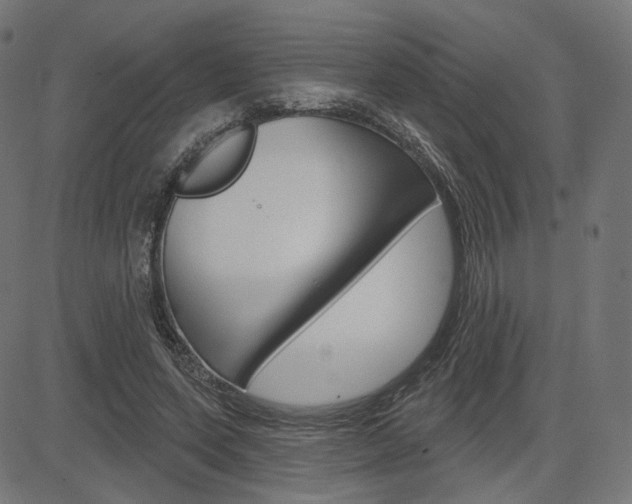 X0000085240543200703090925