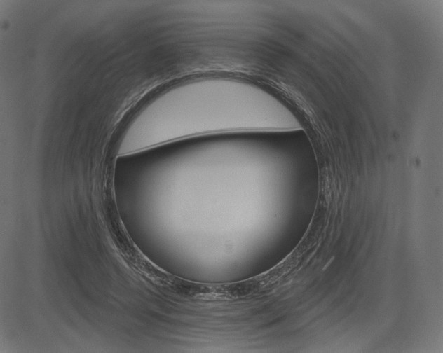 X0000085240544200703090925