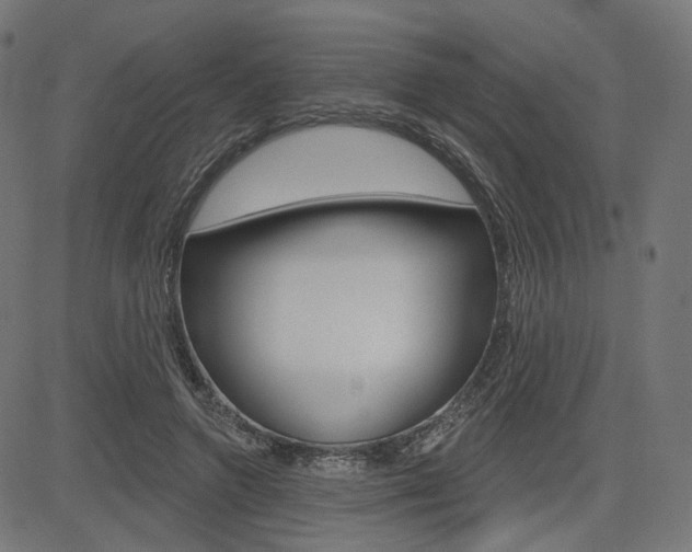 X0000085240546200703090925
