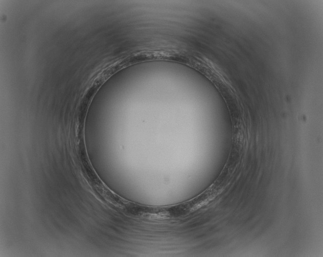 X0000085240548200703090925