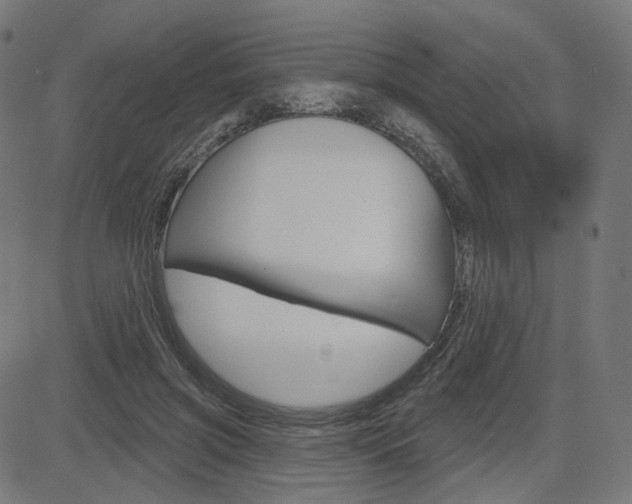 X0000085240549200703090925