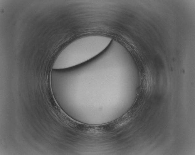 X0000085240550200703090925