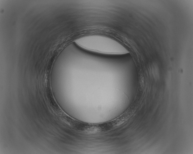 X0000085240551200703090925